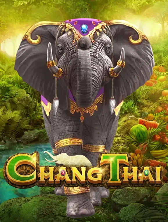 MAN88  Chang Thai